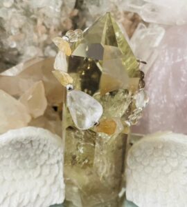 whatsapp image 2025 11 27 at 7.46.26 am